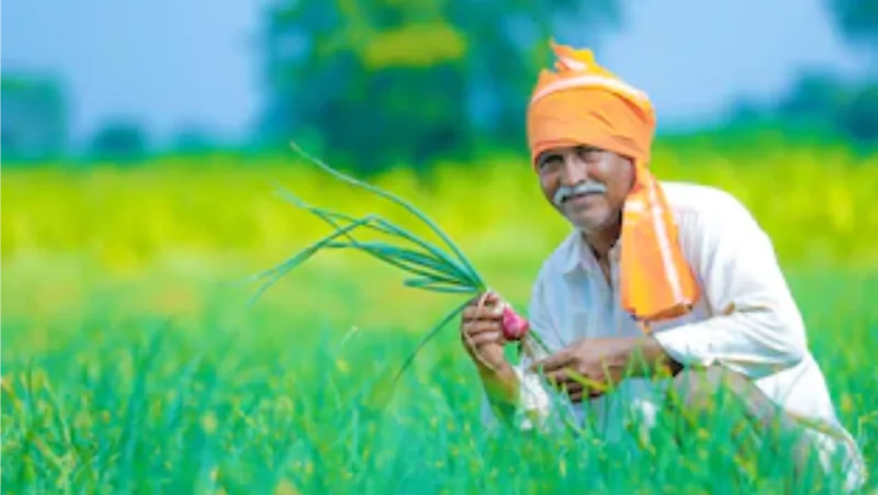 Farmer holding fresh produce in a green field